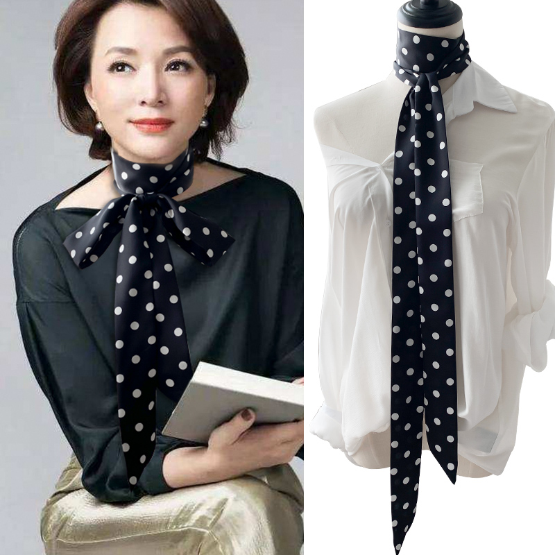 Polka Dot Small Satin Silk Len - огляд і ціна Women Bags Polene